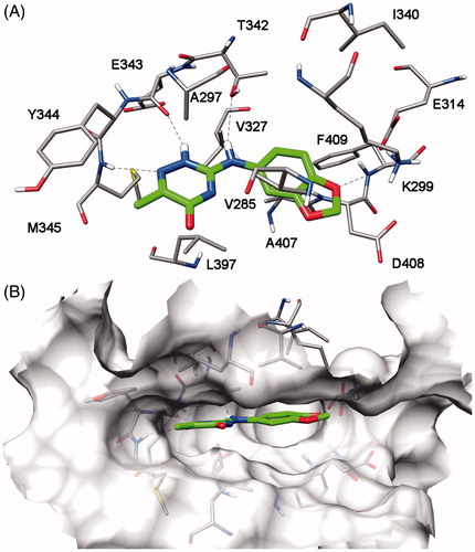 Figure 2. Putative binding mode of compound VS6 into Fyn kinase. (A) View of the most relevant ligand – receptor interactions and (B) binding pose of the ligand (green) in the binding site.