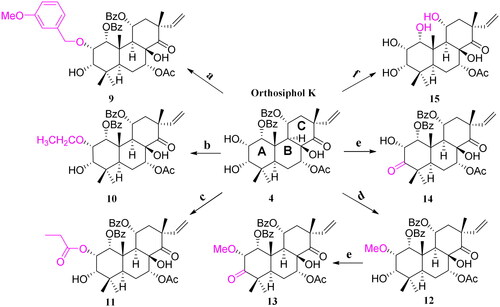 Scheme 1. Structures and reactions in modifications of orthosiphol K (4).aa Reagents and conditions: (a) Cs2CO3, DMF, 3-OMePhCH2Br, 80 °C, reflux; (b) Cs2CO3, DMF, CH3CH2Br, 80 °C, reflux; (c) Propanoic acid, DMAP, EDCI, CH2Cl2, 0-25 °C,6h; (d) Cs2CO3, DMF, MeI, r.t., 24h; (e) Jones reagent, acetone, 0-25 °C, 1.5-2h; (f) NH4OH/MeOH, 110 °C, reflux, 0.5-1h.