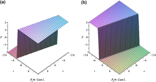 Figure 5. The Solitary wave solution of Equation (3.13).