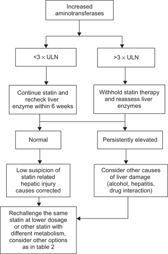 Figure 2 Algorithm for management for abnormal liver enzymes during statin therapy.