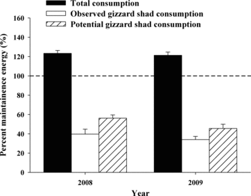 Figure 6 Percent maintenance energy estimates averaged for age-2 through age-7 walleye collected from Lake Oahe, SD, in 2008 and 2009. Filled bars represent total energy consumption; open bars represent energy obtained from observed gizzard shad consumption; and hashed bars represent potential energy obtained from gizzard shad consumption only. Horizontal hashed line represents energy required to meet 100% of minimum maintenance energy requirements.