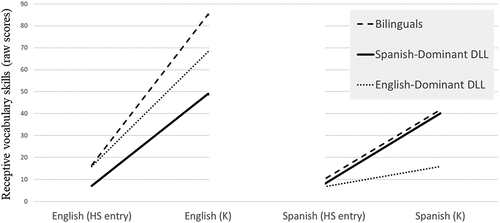 Figure 1. Comparison of English (PPVT) and Spanish (TVIP) receptive vocabulary skills (raw scores) across three groups of dual language learners (DLLs).
