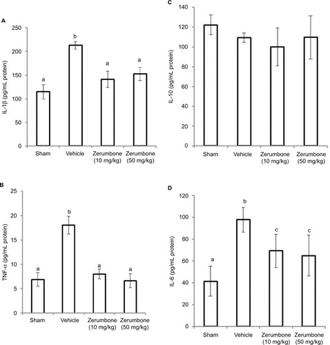 Figure 9 Effect of zerumbone (10 and 50 mg/kg) treatment on the L4–L6 spinal cord levels of (A) IL-1β, (B) TNF-α, (C) IL-10, and (D) IL-6 in CCI and sham mice.