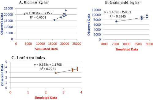Figure 3. Comparison of the simulated and observed above-ground biomass (A), grain yield (B), and leaf area index (C) values for the BH540 cultivars in the calibration experiment.