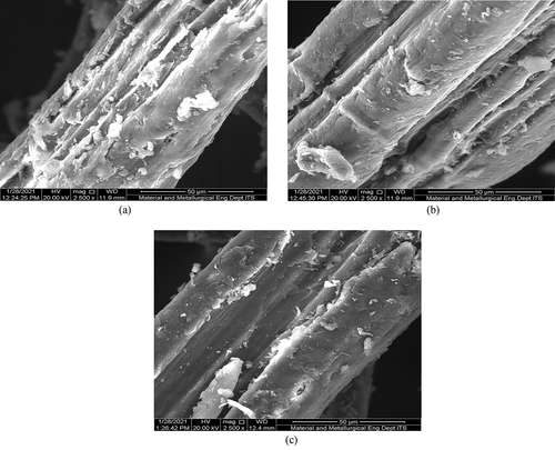 Figure 7. Surface morphology of waru bark fiber (a) untreated (b) NaOH treated (c) NaOH-Silane treated.