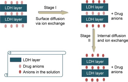 Figure 13 Representation of drug release in buffer solution.Citation112Abbreviation: LDH, layered double hydroxide.