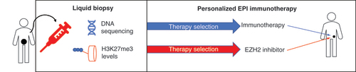 Figure 4. A strategy for personalized epi-immunotherapy.Using a liquid biopsy approach (e.g., from a blood sample) relevant information about cancer-specific mutations and epigenetic alterations (H3K27me3) levels can be obtained. The first information will enable clinicians to select the optimal immunotherapy, while the latter is useful to identify cancers with higher EZH2 activity and therefore more sensitive to EZH2 inhibitors. The same approach can be employed for dynamic monitoring of cancer progression during the therapy.