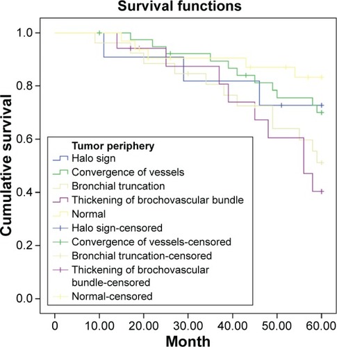 Figure 5 Survival curve of stage I non-small cell lung cancer patients with different computed tomography features of tumor periphery.