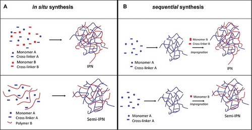 Figure 16. Schematic of the in situ and sequential pathways used to prepare IPNs and semi-IPNs. Reproduced from ref. [Citation464] with permission. Copyright 2011 Elsevier