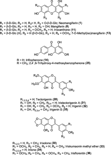 Figure 2. Structures of xanthones, benzophenone and isoflavone aglycones identified in Iris adriatica rhizomes.
