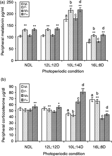 Figure 5.  LPS treatment and serum melatonin (a) and corticosterone (b) concentrations under different photoperiods. NDL, 12L:12D, 12 h light 12 h dark; SD, 10L:14D; LD, 16L:8D, N = 7 per group. Data are Mean +/ − SEM. **p < 0.01 vs. respective female treatment in the same photoperiodic group; paired t-test; a: p < 0.01 vs. control males in NDL group; b: p < 0.01 control females in NDL group; c: p < 0.01 vs. LPS-treated males in NDL group; d: p < 0.01 vs. LPS-treated females in NDL group; one-way ANOVA followed by post-hoc test Tukey's HSD. M − : untreated, control, male; F − : untreated, control, female; M+: LPS-treated male; F+: LPS-treated female.