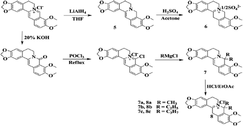 Figure 3. Synthetic depiction of berberine derivatives.