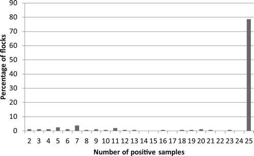 Figure 1. Number of serological reactions in flocks that tested positive in the M. synoviae RPA test.