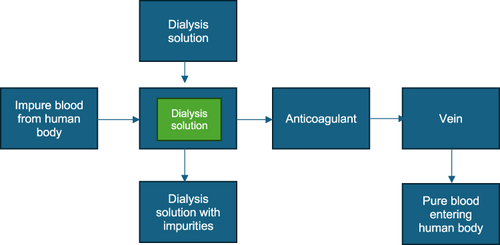 Figure 1 Hemodialysis scheme.