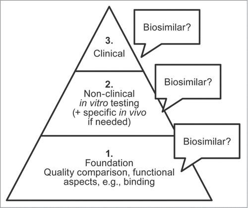 Figure 1. Demonstrating biosimilarity is built first on a foundation of an analytical comparison of structural and functional similarity to the reference product, supported by non-clinical testing, and clinical evaluation in the intended treatment population. Biosimilarity is considered demonstrated based on the totality of the evidence from all evaluations, with each step supported by the preceding one.