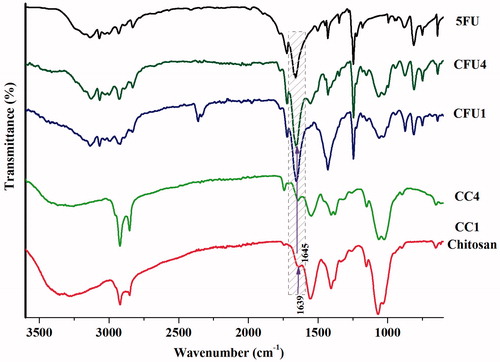 Figure 1. FTIR spectra of chitosan, 5 FU and representative CC and CFU samples.