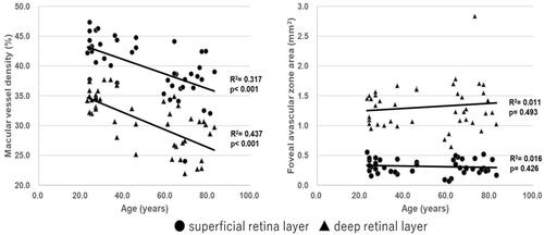 Figure 3 Regression analysis of macular vessel density and foveal avascular zone (FAZ) area with age in the superficial and deep retinal layers. Retinal macular vessel density in both the superficial retinal layer (SRL) and deep retinal layers (DRL) showed significant negative correlations with age (SRL: R2 = 0.317, p < 0.001; DRL: R2 = 0.437, p < 0.001). However, the FAZ area in the superficial and deep retinal layers was not correlated with age (SRL: R2 = 0.016, p =0.426; DRL: R2 = 0.011, p = 0.493).