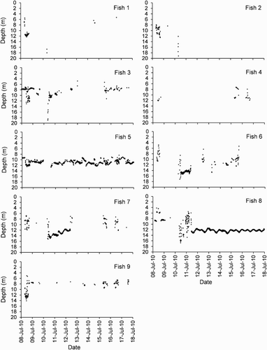 Figure 4. Depth detections against time for the 10-day period between 8 July 2010 and 18 July 2010 for harlequin Fish 1 to 9.