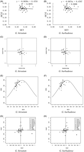 Figure 1. Analysis of codon usage between G. hirsutum and G. barbadense mitochondrial genes. Neutrality plot analysis (GC3 vs. GC12) of G. hirsutum (A) and G. barbadense (B). PR2-bias plot of the third codon position for fourfold degenerate amino acids in G. hirsutum (C) and G. barbadense (D). Each dot in the figure indicates one gene. ENC-plot of the G. hirsutum (E) and G. barbadense (F) mitochondrial genes. Dots indicate the position of individual genes, and the standard curve represents the expected ENC under random codon usage. Visualization of the first two axes from the correspondence analysis based on RSCU values for G. hirsutum (G) and G. barbadense (H) mitochondrial genes.