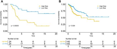 Figure 7 Performance of the DNA methylation prognostic model in the OS prediction of patients with CC. (A) GSE30759, (B) TCGA.