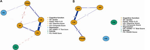 Figure 2 Networks estimation of cognitive function, Depression symptoms and suicide in SA and SI.