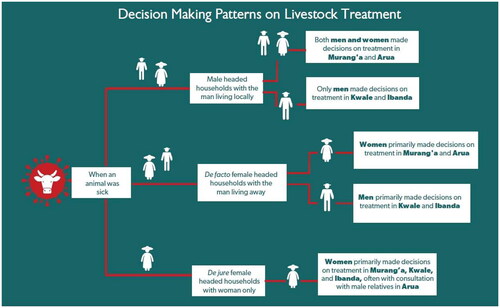 Figure 2. Visual summary of decision-making patterns on livestock treatment by household ­headship as reported by FGD participants.
