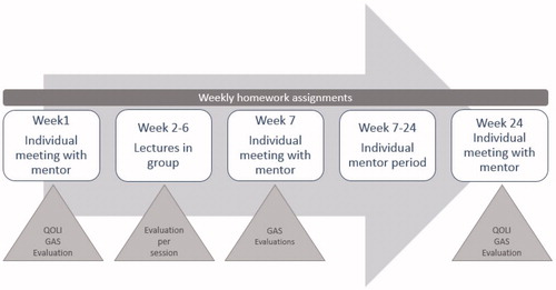 Figure 1. Structure of the TRANSITION programme and measures used in the feasibility study. QOLI: Quality of Life Inventory; GAS: Goal Attainment Scaling.
