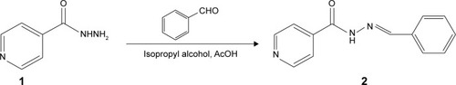 Figure 1 Synthetic scheme of INH to IH2.Abbreviations: IH2, INH benz-hydrazone; INH, isoniazid.