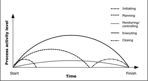 FIGURE 1 Level of activity applied to each process group over time.