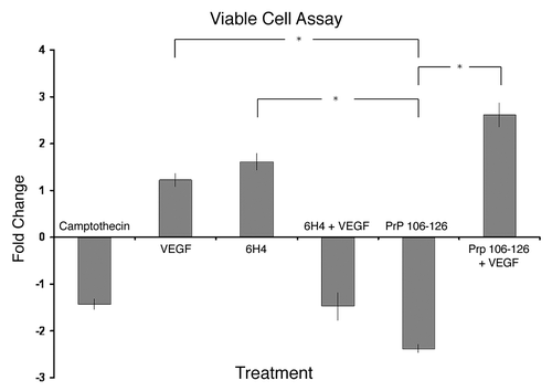 Figure 6. Cell viability. Stimulated human neuronal cells were assayed for viability using trypan blue dye exclusion and a hemocytometer. Camptothecin refers to the inducer of apoptosis. PrP 106-126 refers to the prion peptide fragment. 6H4 refers to the 6H4 antibody. PrP 106-126 + VEGF refers to PrP 106-126 peptide plus the addition of recombinant VEGF. 6H4 + VEGF refers to 6H4 antibody plus recombinant VEGF. Each stimulated sample was compared with its respective control sample to keep analyses as similar to peptide array analyses as possible. Camptothecin and VEGF counts were compared with unstimulated control counts. 6H4 counts were compared with IgG1 isotype control counts. 6H4 + VEGF counts were compared with 6H4-stimulated counts. PrP 106-126 counts were compared with scramble peptide control counts. PrP 106-126 + VEGF counts were compared with PrP 106–126-stimulated counts. Assays were performed in triplicate with fold change and standard error presented. *Indicates a statistical confidence of p ≤ 0.05.