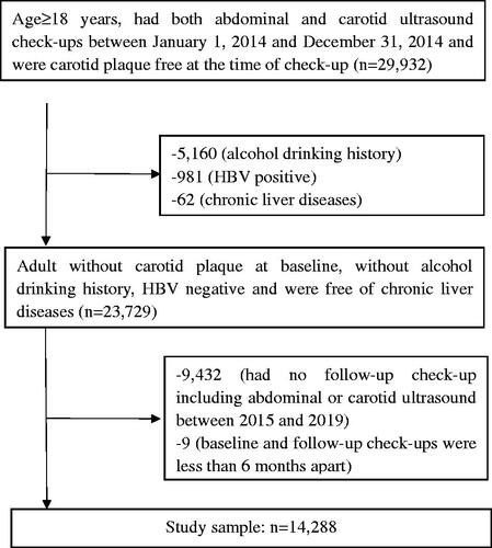 Figure 1. Flow diagram of study participants selection.