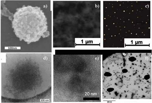 Figure 2. SEM and AFM images of casein capsules taken from a), [Citation66, 76] b) and c) [Citation11] [Citation59] and TEM images of casein capsules taken from d)[Citation76],e)[11] and f) , [Citation38] [][] [Citation6]