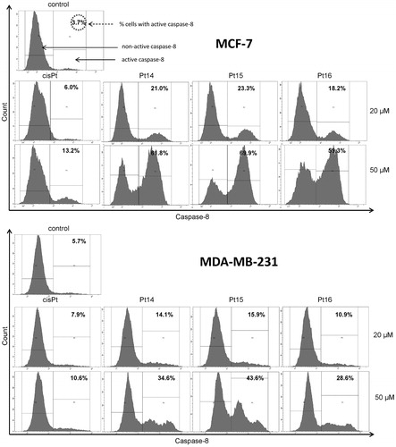 Figure 9. Flow cytometric analysis of populations MCF-7 and MDA-MB-231 breast cancer cells treated for 24 h with 20 μM and 50 μM of Pt14–Pt16 and cisplatin for active caspase-8. Mean percentage values from three independent experiments (n = 3) done in duplicate are presented.