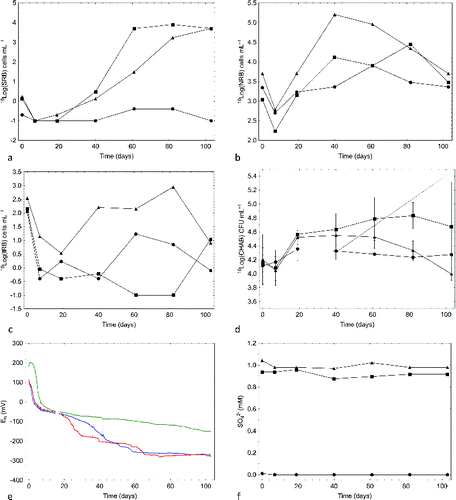 Fig. 3. (a) Most probable number (MPN) of sulphate-reducing bacteria (SRB), (b) MPN of nitrate-reducing bacteria (NRB), (c) MPN of iron-reducing bacteria (IRB), (d) cultivable heterotrophic aerobic bacteria (CHAB), (e) Eh measured using internal electrode couples: average of four electrode signals (blue line in e), in the sulphate flow cell circulation system (FCCS) (red line in e), and in the sulphate + ONK-PVA6 FCCS (green line in e), and (f) sulphate concentration in groundwater circulating through the three FCCSs supplemented with 500 mL of ONK-KR15 groundwater (•), 500 mL of ONK-KR15 groundwater and 1 mM NaSO4 (▪), and 500 mL of ONK-PVA6 groundwater and 1 mM NaSO4 (▴).