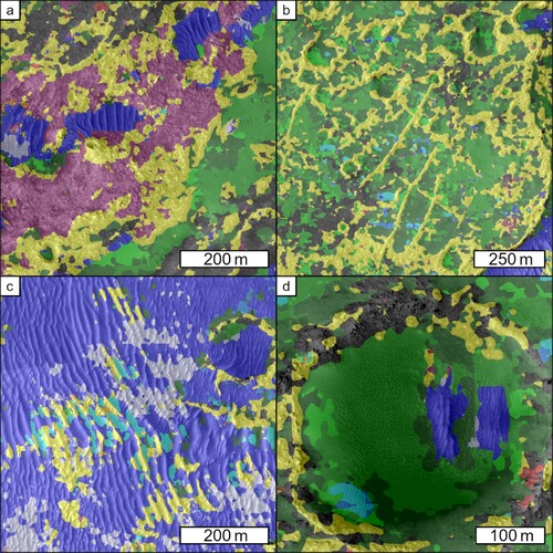 Figure 5. Case studies of NOAH-H classifications in Jezero. North is at the top of all the panels. (a) and (b) show examples where NOAH-H has performed well. (c) and (d) show examples where NOAH-H has performed less well. All panels show the Jezero descriptive class mosaic overlain on the HiRISE orthomosaic in a plate carrée projection. See the legend in Figure 3 to interpret the colours in this figure. (a) NOAH-H accurately reproduces sharp contacts between different terrain types. (b) NOAH-H accurately identifies bedrock ridges protruding from non-bedrock cover. (c) NOAH-H occasionally misclassifies ripples with complex ridge crest morphologies as bedrock – rugged. (d) NOAH-H has correctly classified large ripples – continuous in the east of this impact crater, but smaller ripples in the centre and west are instead classified as non-bedrock – smooth, lineated material.