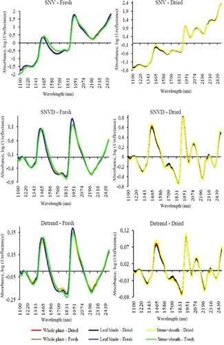 Figure 4. Average treated spectra of fresh and dried samples of Brachiaria brizantha cv. Piatã.SNV: standard normal variate; SNVD: standard normal variate + Detrend. ODS: oven-dried sample; DM: dry matter; CP: crude protein; NDF: neutral detergent fibre; ADF: acid detergent fibre; TDN: total digestible nutrients; SEP: standard error of prediction; R2v: coefficient of determination of validation; RPDv: ratio of performance deviation of validation; n, number of samples.