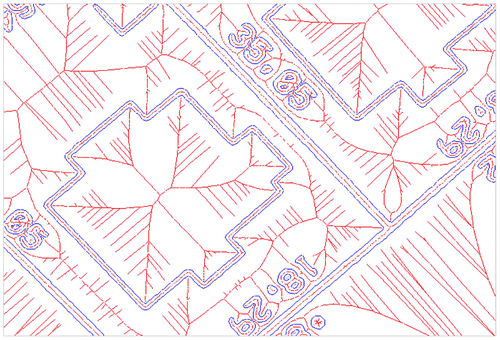 Figure 4. Scanned cadastral map: crust and skeleton.