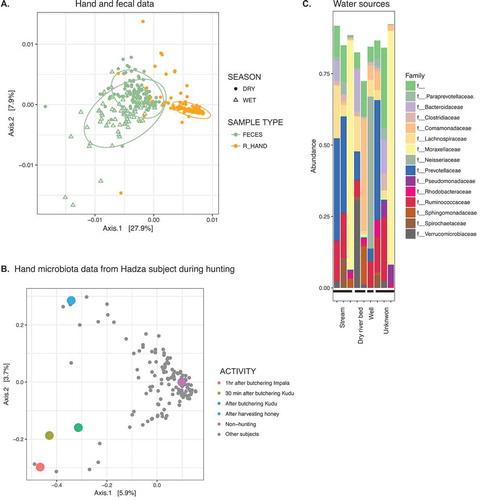 Figure 2. Microbes associated with hands, animals, and water sources in the Hadza environment.A. PCoA of weighted Unifrac distances of hand samples and fecal samples from Hadza. Fecal samples, green; hand samples, orange; closed circles, dry season; open triangles, wet season. Ellipses show .95 confidence level.B. PCoA of unweighted Unifrac distances of hand samples. Colored dots represent samples acquired from the same subject; grey dots from remaining individuals. Colors indicate activities engaged in when sample was taken.C. Composition of microbiota from water sources, summarized at the family taxonomic level. Families shown are limited to those present at greater than 1% in sum total of water samples.