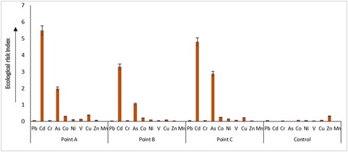 Figure 6. Ecological riskx indices of the heavy metals at the sampling sites.