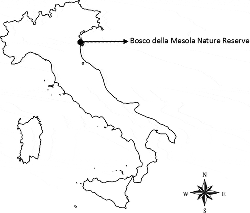 Figure 1. Location of our study area.