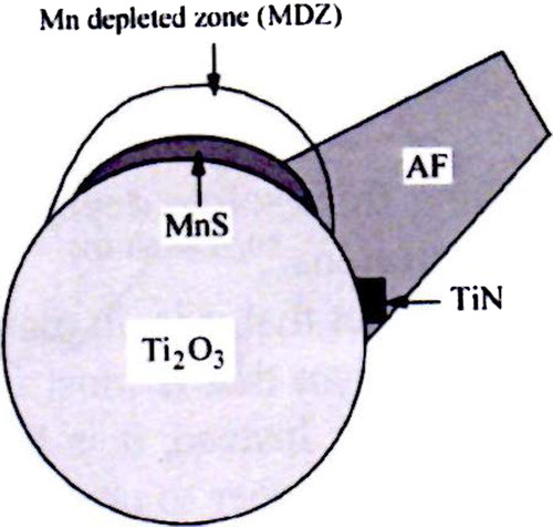 Figure 48. Schematic illustration of heterogeneous nucleation of AF on a surface of Ti2O3 inclusion with an MDZ near an MnS inclusion [Citation290].