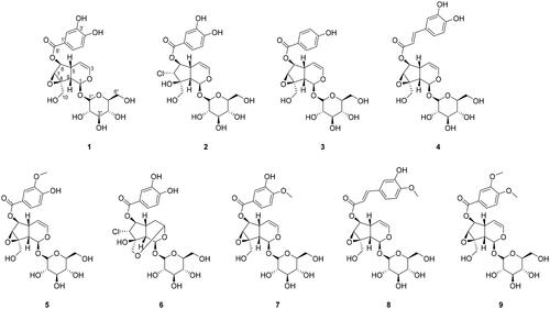 Figure 2. Chemical structures of the major compounds isolated from the extract of the whole plant of Pseudolysimachion rotundum var. subintegrum.