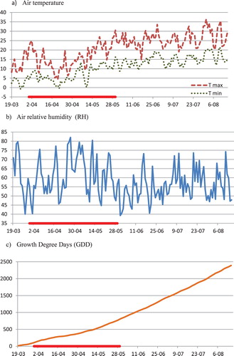 Figure 1. Changes of daily maximum and minimum air temperature (a), air relative humidity RH (b) and growth degree days GDD (c). Red line on x-axis marks the period of drought.