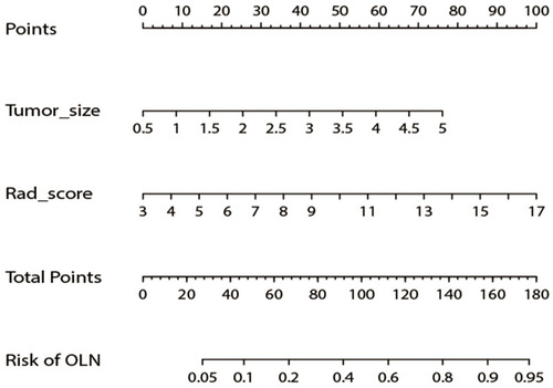 Figure 4 Radiomics nomogram. The predictive nomogram was built in the training group. Its variables were CT-reported tumor size and Rad-score.