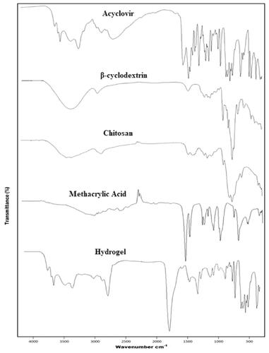 Figure 1. FTIR curve of acyclovir, β-cyclodextrin, chitosan, methacrylic acid, and β-CD/CS-co-poly(MAA) hydrogel.