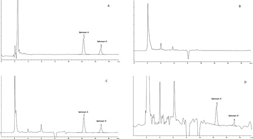 Figure 1. Typical chromatograms from the determination of spinosad (SPN; spinosyn A and D) residues in egg yolk using HPLC with a photodiode array: (A) standards (1 μg/ml); (B) control egg yolk containing no detectable residue; (C) control egg yolk fortified with 0.5 μg/g of two analytes; (D) a study sample (10 days post-spraying) containing SPN (spinosyn A and D) residue.