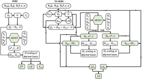 Figure 3. Application of original SEBS and updated two-source TS-SEBS proposed in this study