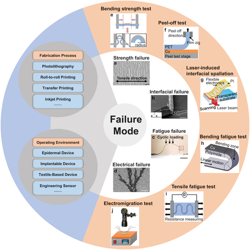 Figure 1. Overview of failure of flexible electronic devices from perspective of failure mode, characterization methods, fabrication process and operating environment. Strength failure: Adapted with permission. Copyright 2010, Elsevier BV [Citation40]. Interfacial failure: Adapted with permission. Copyright 2014, Elsevier BV [Citation41]. Fatigue failure: Adapted with permission. Copyright 2021, Wiley-VCH Verlag [Citation42]. Electrical failure: Reproduced with permission. Copyright 2022, American chemical Society [Citation43]. Bending strength test: Adapted with permission. Copyright 2018, Elsevier BV [Citation44]. Peel-off test. Adapted with permission. Copyright 2018, Elsevier BV [Citation44]. Laser-induced interfacial spallation. Adapted with permission. Copyright 2020, American chemical Society [Citation45]. Bending fatigue test. Adapted with permission. Copyright 2013, Elsevier BV [Citation46]. Tensile fatigue test. Adapted with permission. Copyright 2022, Nature Publishing group [Citation47]. Electromigration test. Adapted with permission. Copyright 2019, Springer Verlag [Citation48].