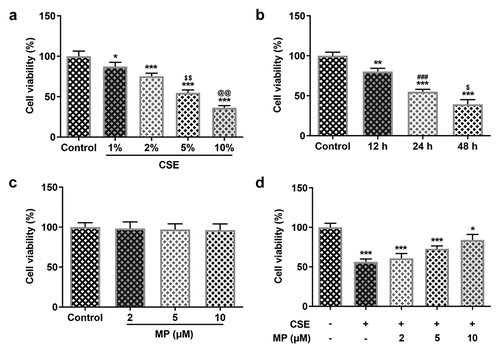 Figure 1. MP increases the viability of CSE-induced BEAS-2B cells. (a) The viability of BEAS-2B cells treated with 1, 2, 5 and 10% CSE for 24 h was detected by CCK-8 assay. *P < 0.05 and ***P < 0.001 vs. Control group. $$P < 0.01 vs. 2% CSE group. @@P < 0.01 vs. 5% CSE group. (b) The viability of BEAS-2B cells treated with 5% CSE for 12, 24 and 48 h was detected by CCK-8 assay. **P < 0.01 and ***P < 0.001 vs. Control group. ###P < 0.001 vs. 12 h group. $P < 0.05 vs. 24 h group. (c) The viability of BEAS-2B cells treated with 2, 5 and 10 μM MP was detected by CCK-8 assay. (d) The viability of BEAS-2B cells treated MP and CSE was detected by CCK-8 assay. *P < 0.05 and ***P < 0.001 vs. Control group.