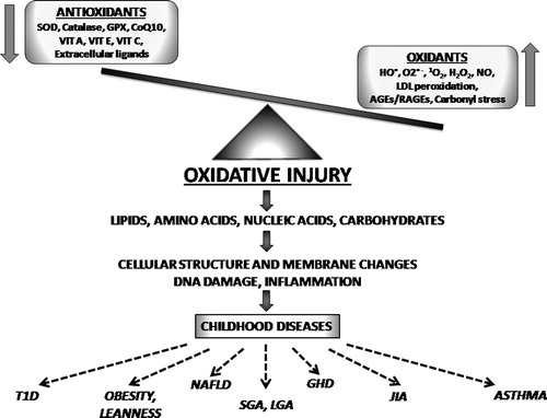 Figure 1. The oxidant–antioxidant mechanisms and their effects in childhood. SOD, superoxide dismutase; GPX, glutathione peroxidases; CoQ10, coenzyme Q10; VIT A, vitamin A; VIT E, vitamin E; VIT C, vitamin C; HO, hydroxyl radical; O2−, superoxide; 1O2, singlet oxygen; H2O2, hydrogen peroxide; NO, nitric oxide; LDL, low-density lipoproteins; AGEs, advanced glycation endproducts; RAGEs, receptors for advanced glycation endproducts; T1D, type 1 diabetes; NAFLD, non-alcoholic fatty liver disease; SGA, small for gestational age; LGA, large for gestational age; GHD, growth hormone deficiency; JIA, juvenile idiopathic arthritis.
